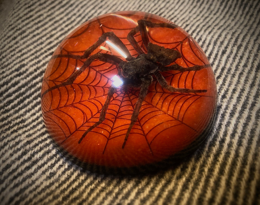 Spider in Lucite (orange background)