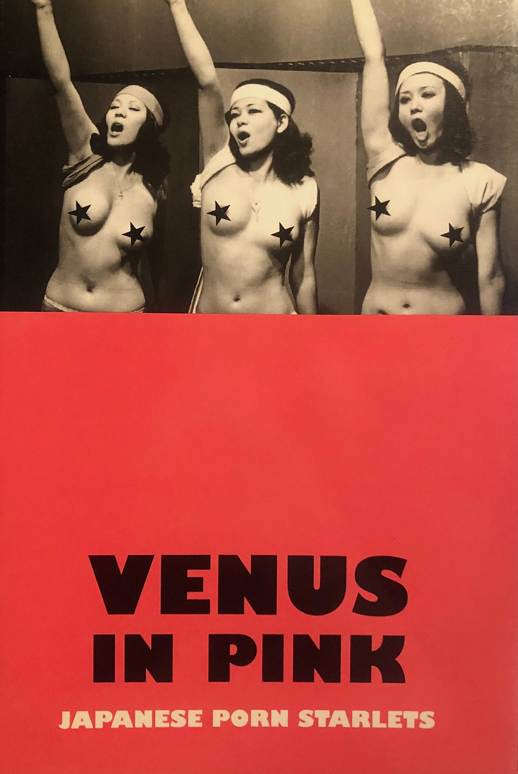 Venus in Pink: Japanese Porn Starlets