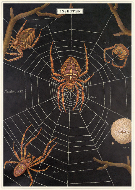 Framed Vintage Spider Poster