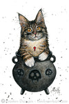 Cauldron Kitten: Lucy