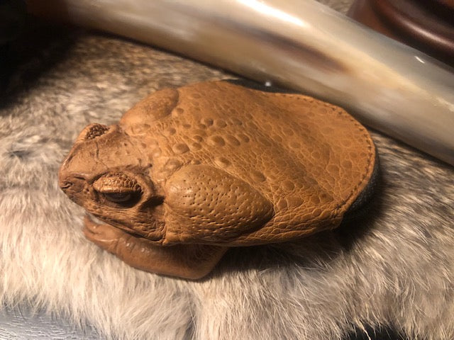 Real Cane Toad Coin Purse